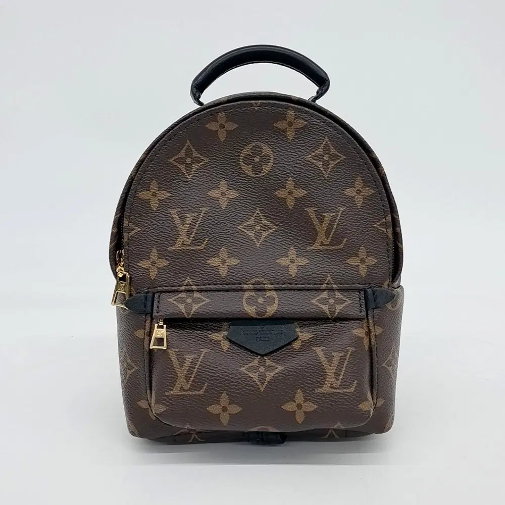 Louis Vuitton Palm Springs Backpack Mini M41562