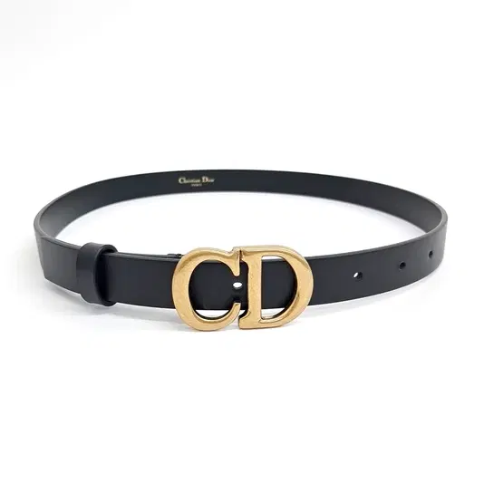 Christian Dior saddle belt