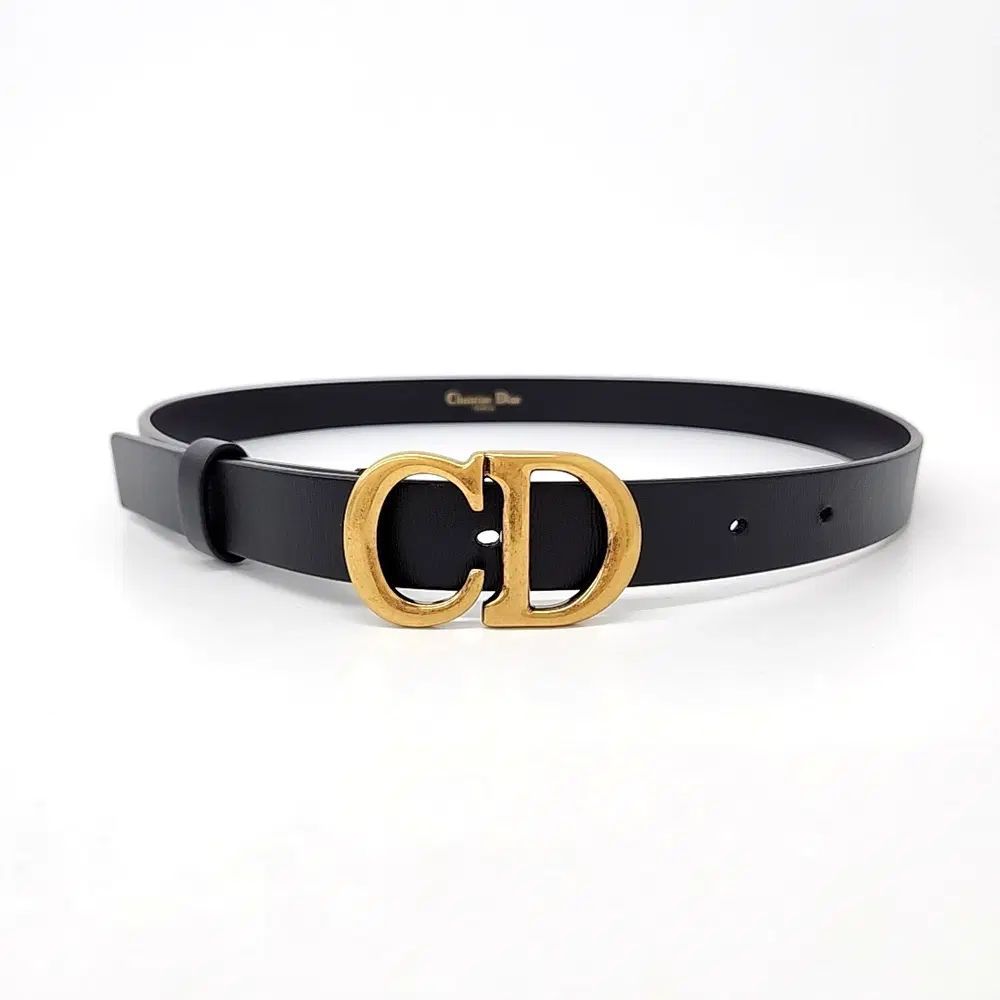 Christian Dior saddle belt