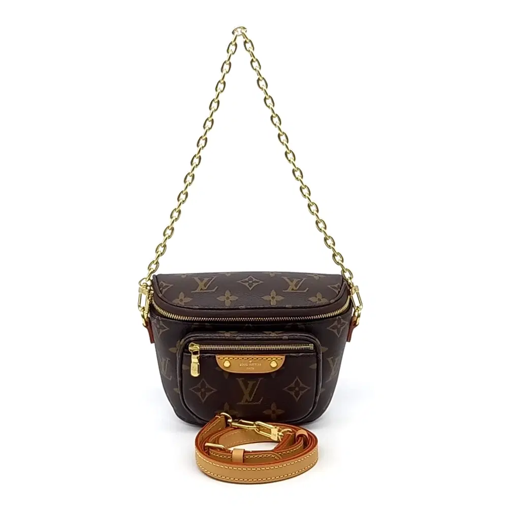 Louis Vuitton Monogram Mini Bum Bag M82335