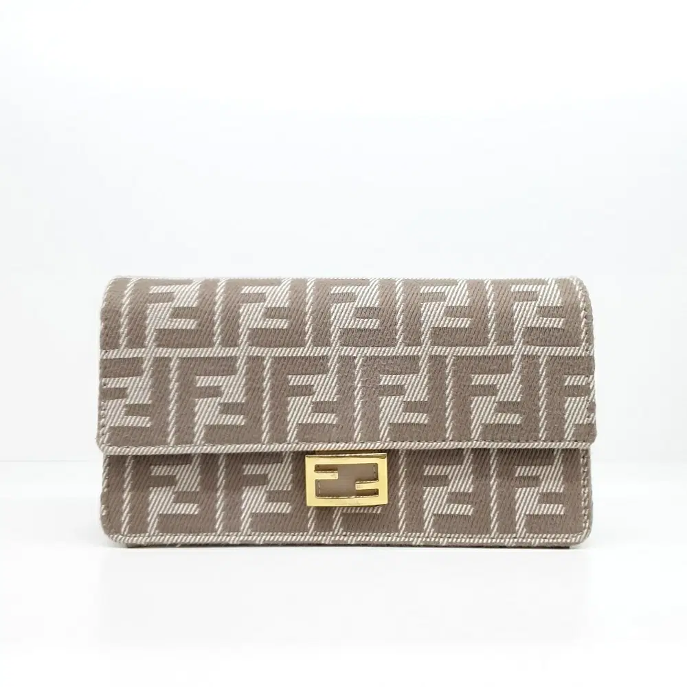 Fendi Wallet-on-Chain Crossbody and Shoulder Bag (8M0498)