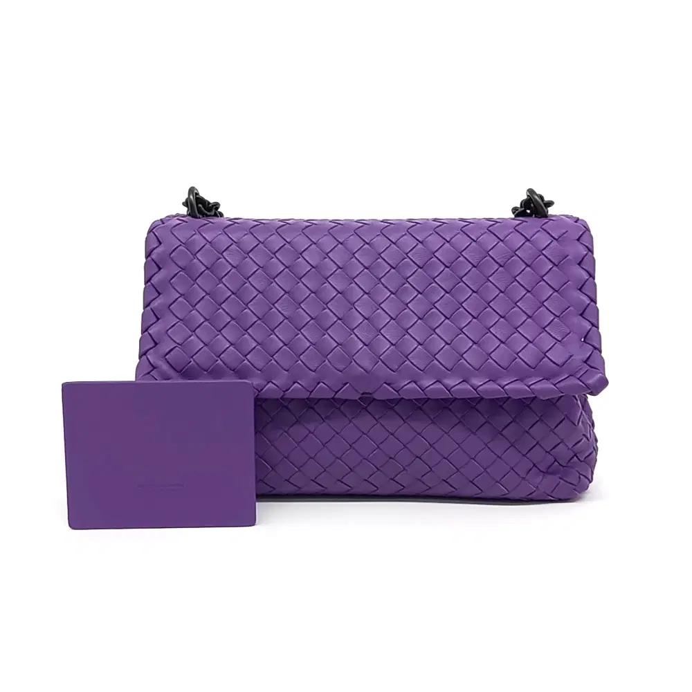 Bottega Veneta Mesh Olympia Bag