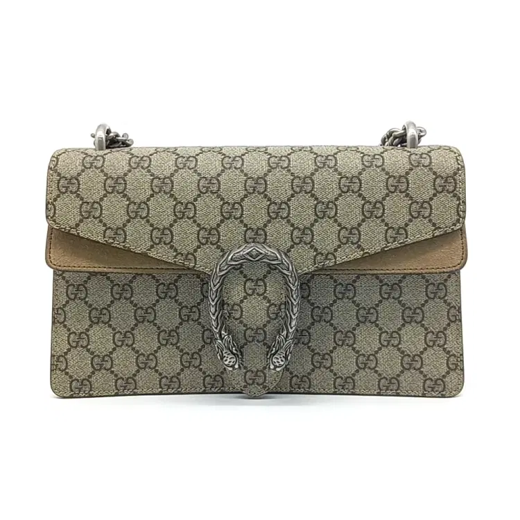Gucci Dionysus Chain Shoulder Bag (400249)-Hover-Image