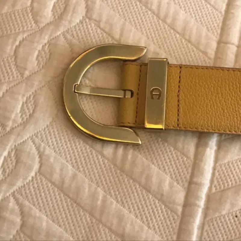 Etienne Aigner Classic Leather Belt