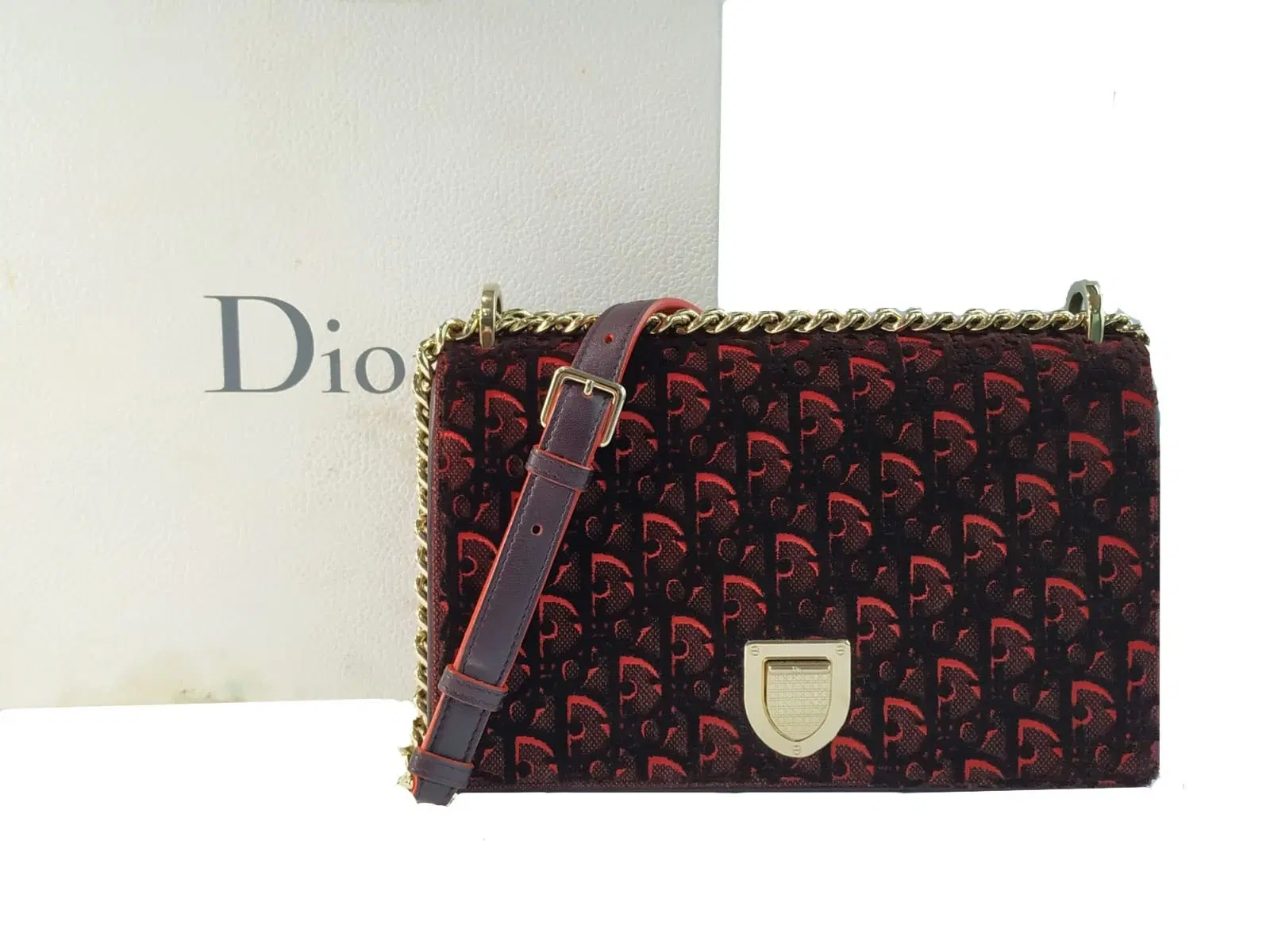 Dior Limited Edition Monogram Velvet Diorama Bag