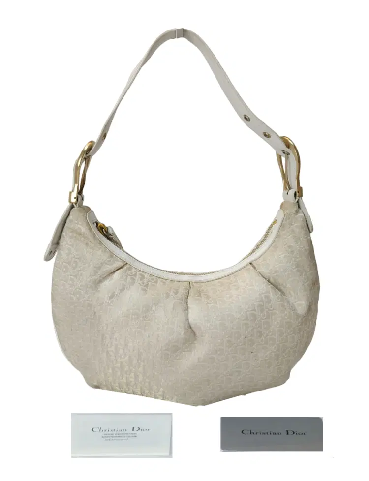 Dior Oblique Canvas and Leather Hobo Bag-Hover-Image