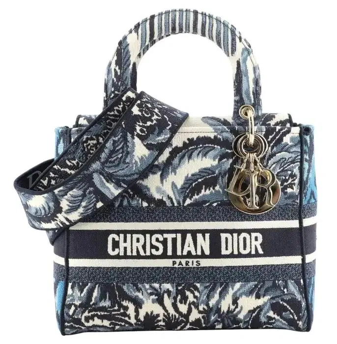 Dior Lady D-Lite Embroidered Medium Canvas Tote-Hover-Image