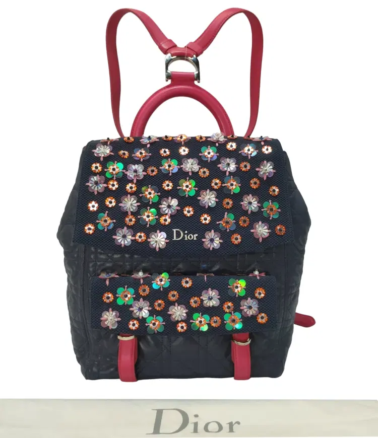 Dior Stardust Embellished Leather and Mesh Backpack-Hover-Image
