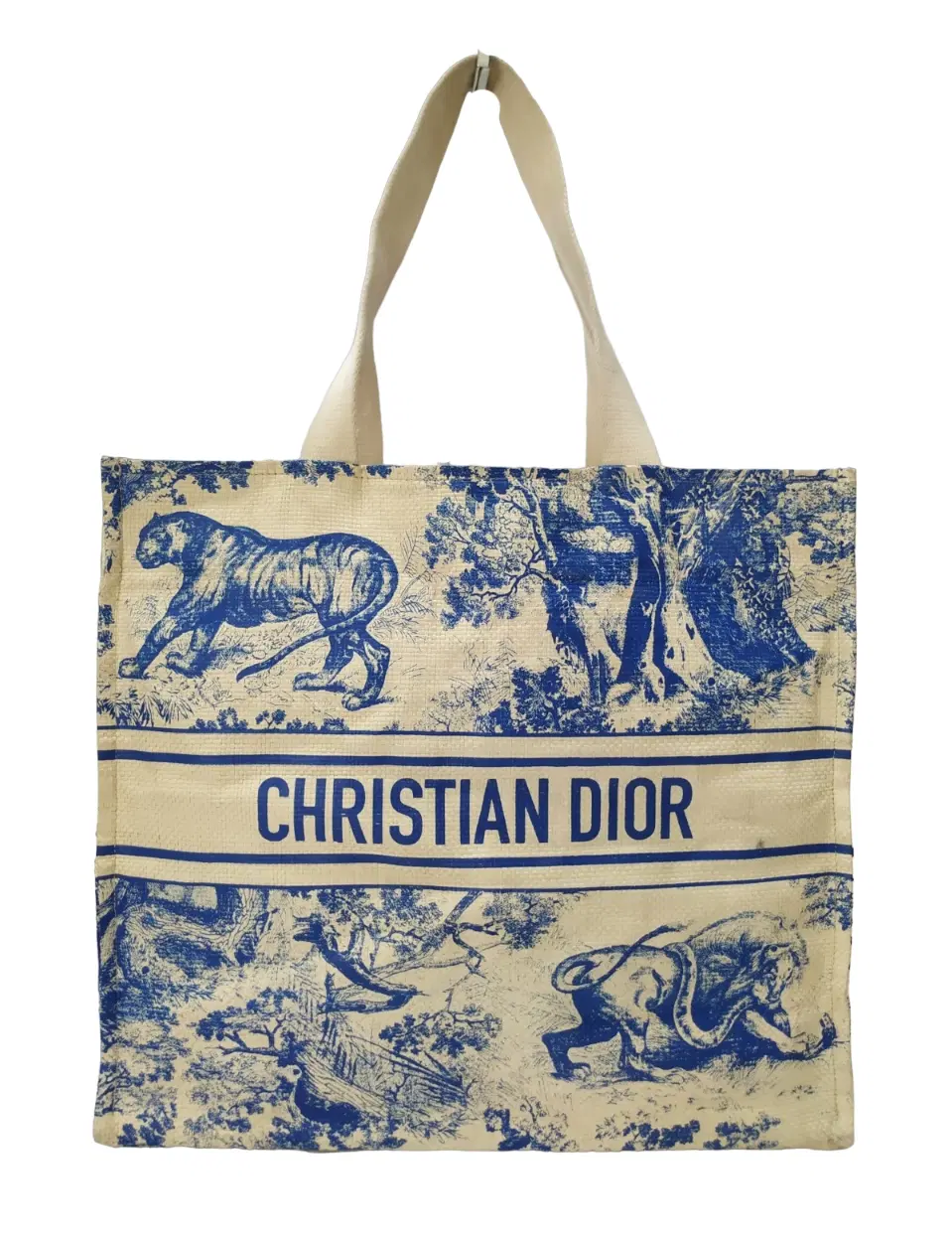 Dior Straw Dioriviera Beach Book Tote