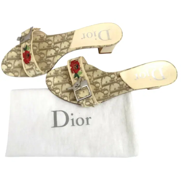 Christian Dior Taupe/Multi Sandals-Hover-Image