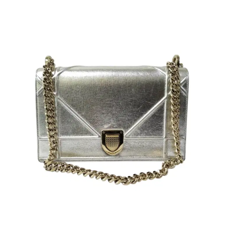 Dior Diorama Silver Medium Bag