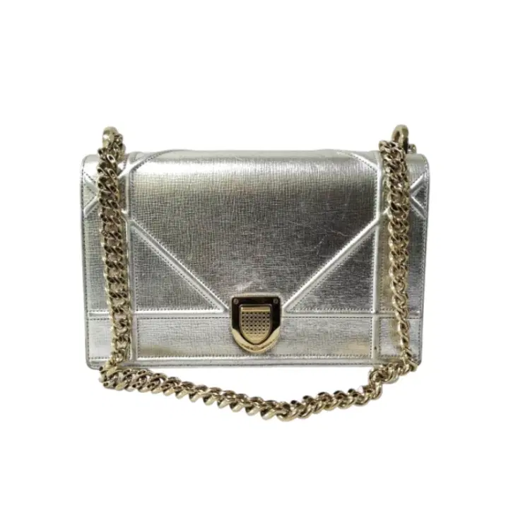 Dior Diorama Silver Medium Bag-Hover-Image
