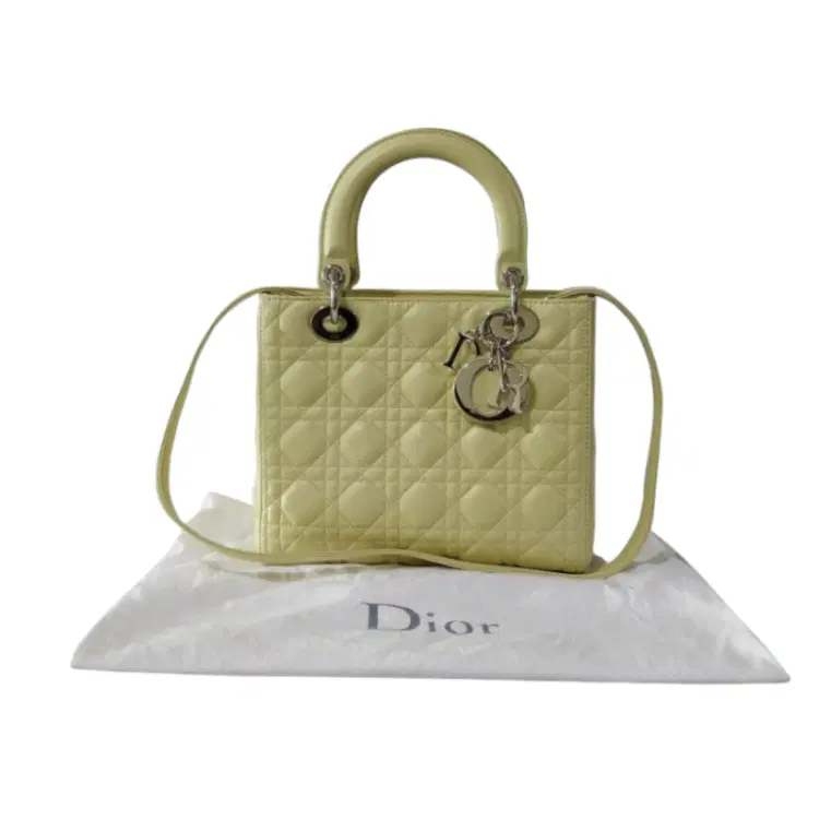 Dior Quilted Lambskin Leather Medium Lady Dior Bag-Hover-Image