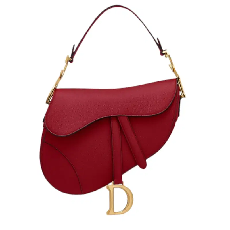 Dior Saddle Bag
