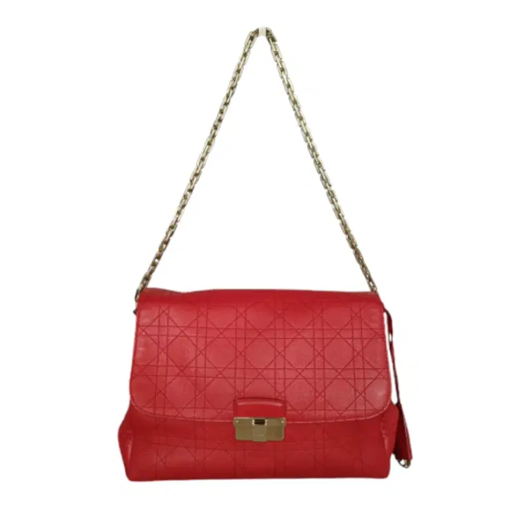 Dior Red Diorling Leather Shoulder Bag-Hover-Image