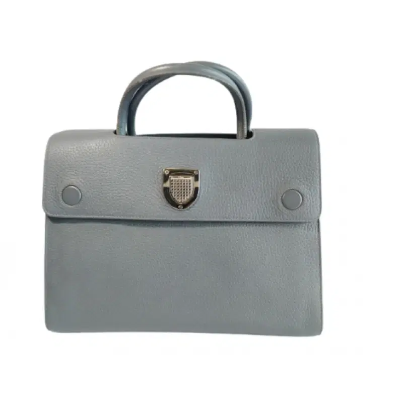 Dior Pebbled Leather Medium Diorever Bag