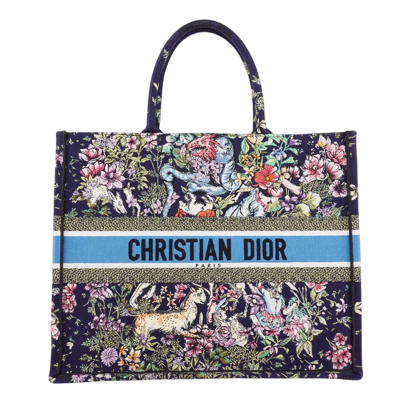 Dior Multicolor Canvas Embroidered Large D-Constellation Book Tote