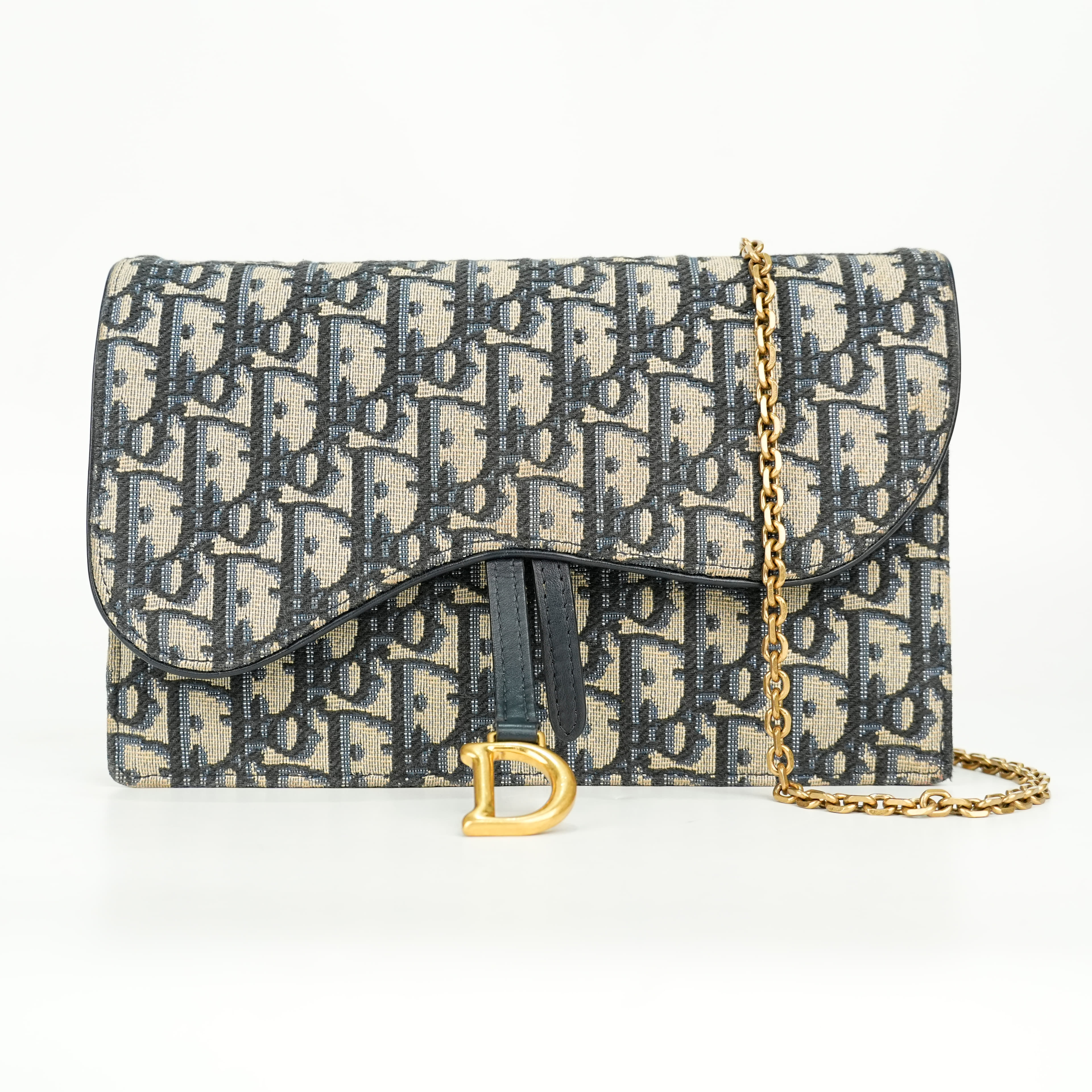 Dior Saddle Medium Chain Pouch