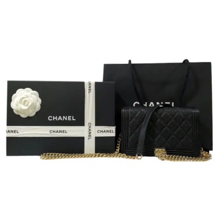 Chanel Boy Black Wallet on Chain Bag-Hover-Image