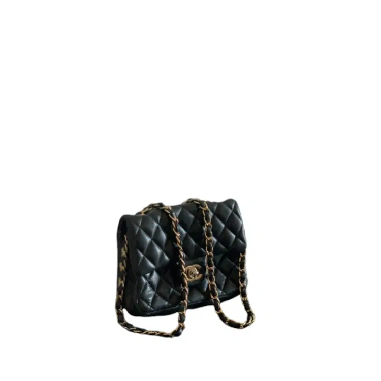Chanel Classic Black Quilted Leather Small Shoulder Bag-Hover-Image