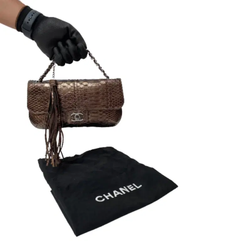 Chanel Metallic Python Soho Tassel Medium Flap Bag