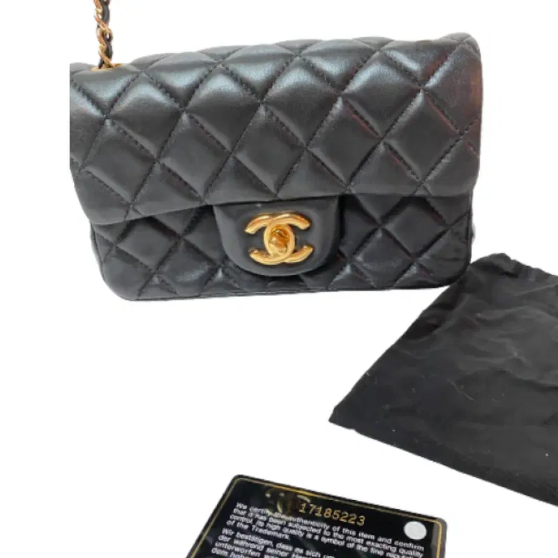 Chanel Quilted Classic Flap Shoulder Bag