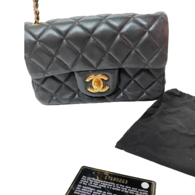 Chanel Quilted Classic Flap Shoulder Bag-Hover-Image