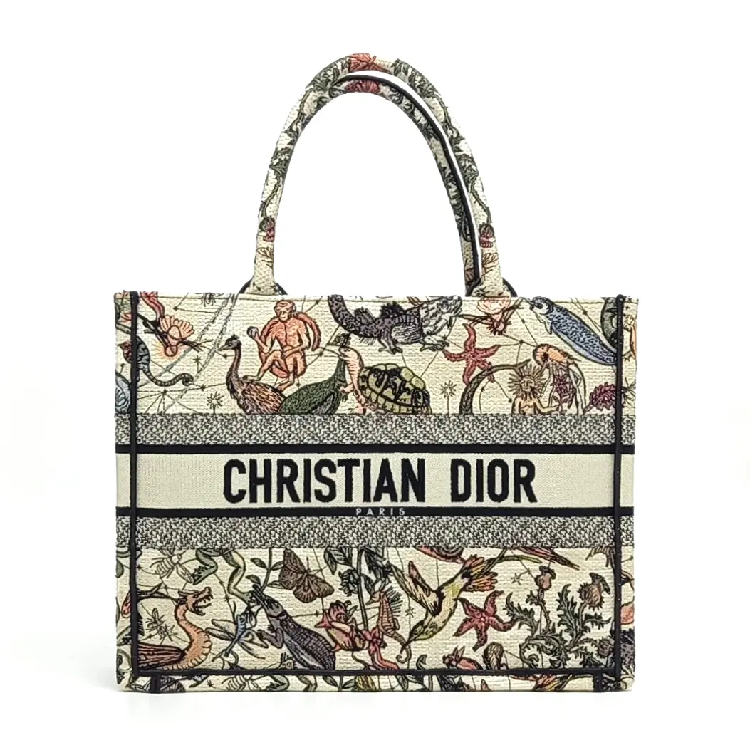 Christian Dior Book Tote Bag 36 M1296ZEBX