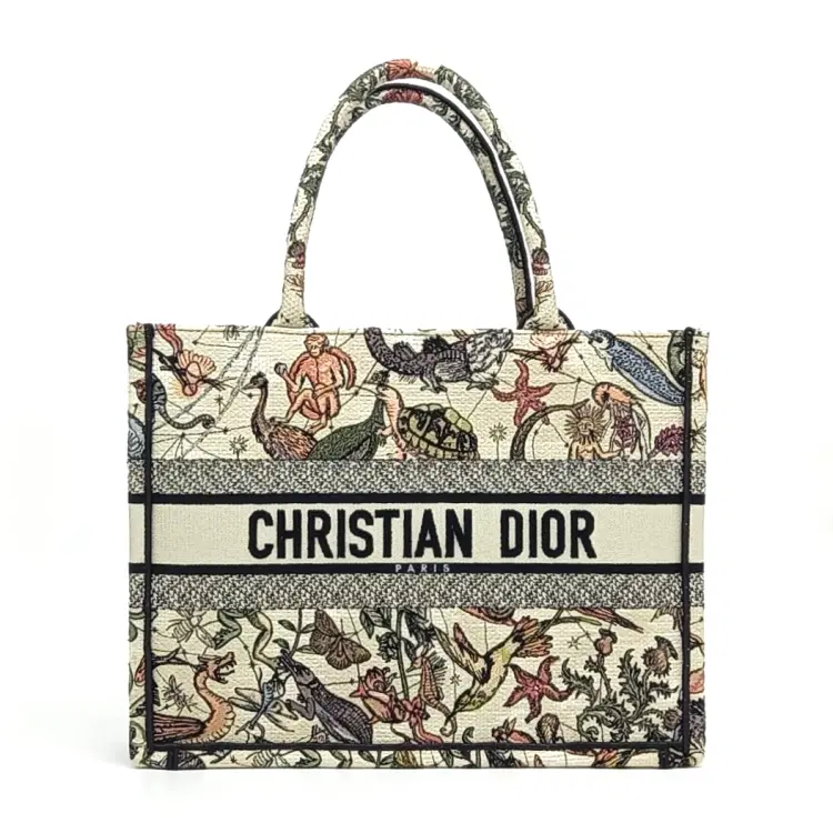 Christian Dior Book Tote Bag 36 M1296ZEBX-Hover-Image