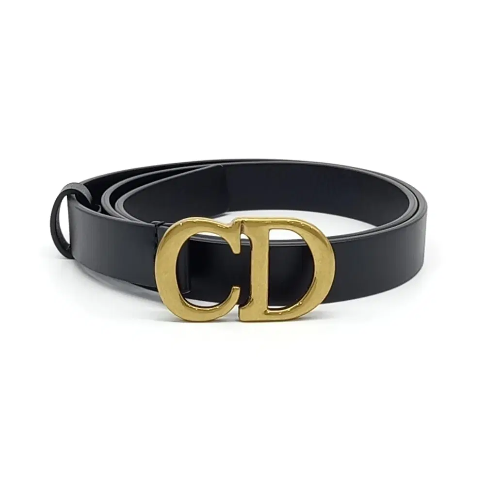 Christian Dior saddle belt