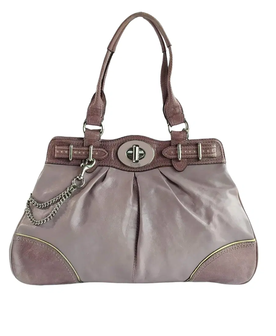 Coach Garnet Chain Detail Leather Satchel