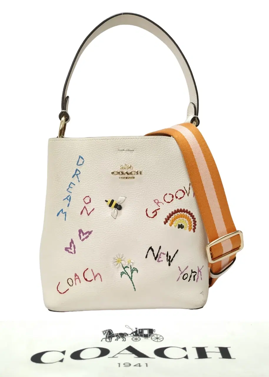 Coach Chalk Multi Diary Embroidery Small Town Leather Bucket Bag