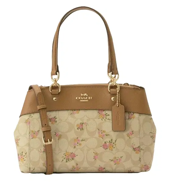 Coach White Daisy Print Coated Canvas and Leather Mini Brooke Carryall Satchel