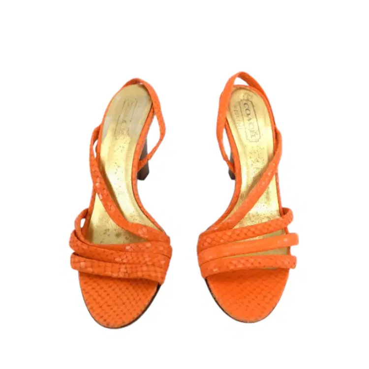 Coach Beatriz Strappy Snakeprint Orange Sandals-Hover-Image