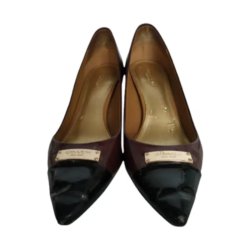 Coach Zan Pointed Toe High Heel Pumps
