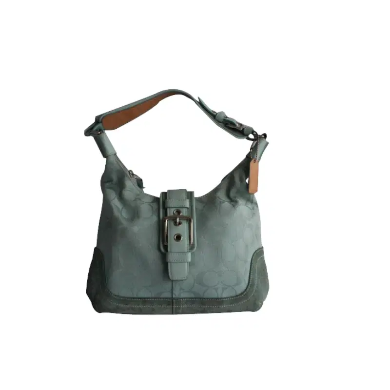 Coach Aqua Blue Hobo Bag | Luxepolis.com