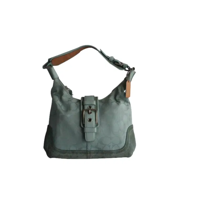 Coach Aqua Blue Hobo Bag | Luxepolis.com-Hover-Image