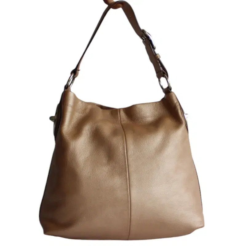 Coach Metallic Shoulder Bag