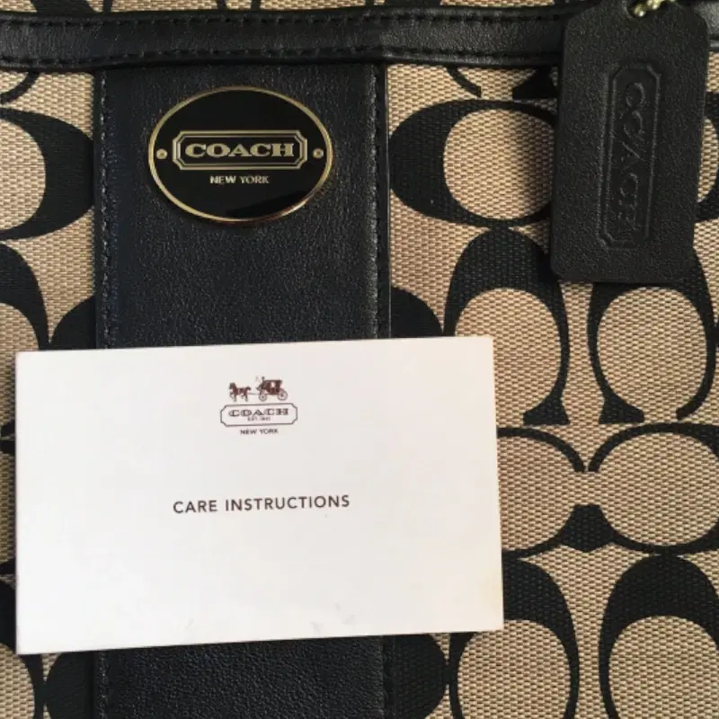 Coach swing pack bag