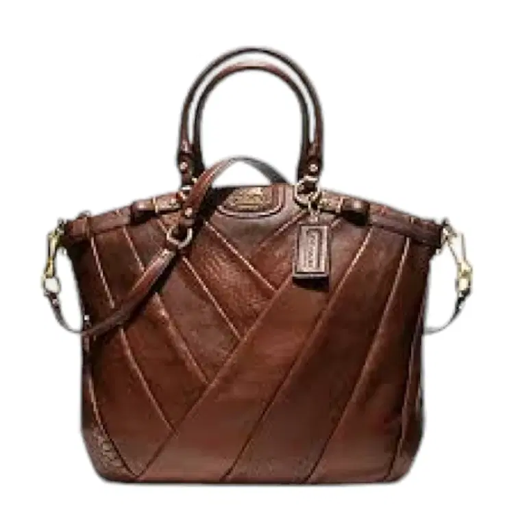 COACH Brown Madison Diagonal Pleated Exotic Lindsey Satchel-Hover-Image