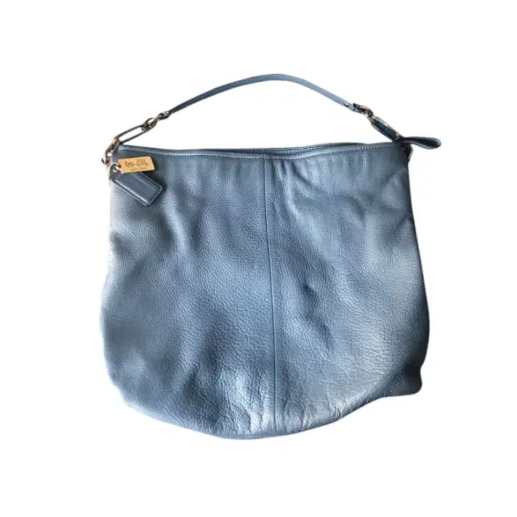 Coach Harley Pebble Leather Crossbody Hobo Bag-Hover-Image