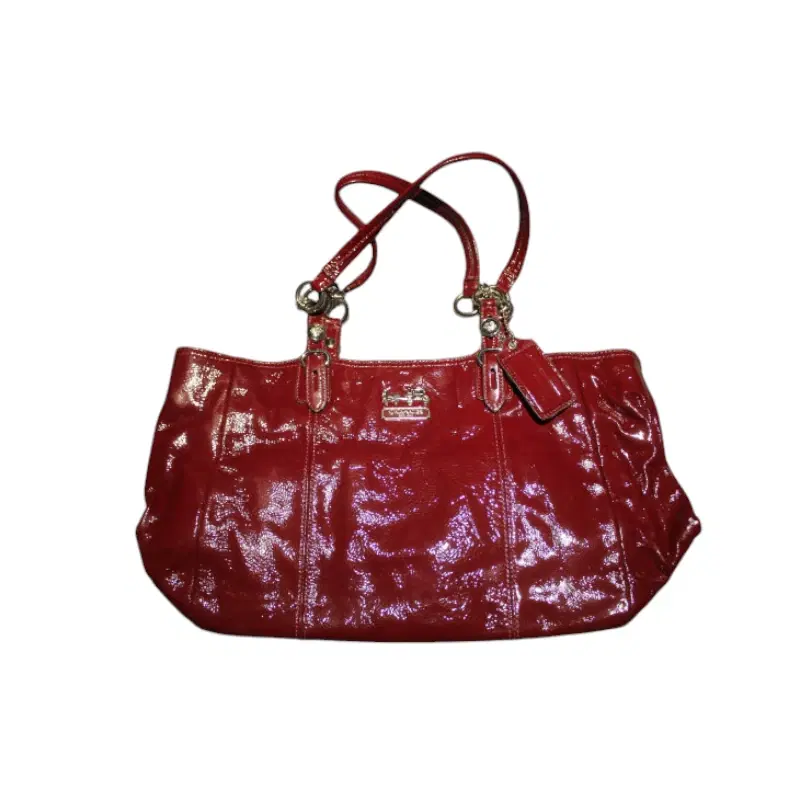 Coach Metallic Bag