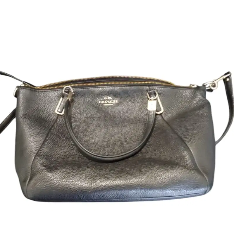 Coach Kelsey F 34493 Small Leather Satchel