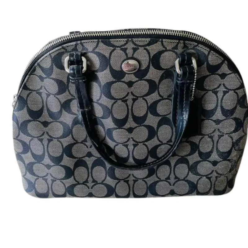 Coach Peyton Signature Cora Domed Satchel