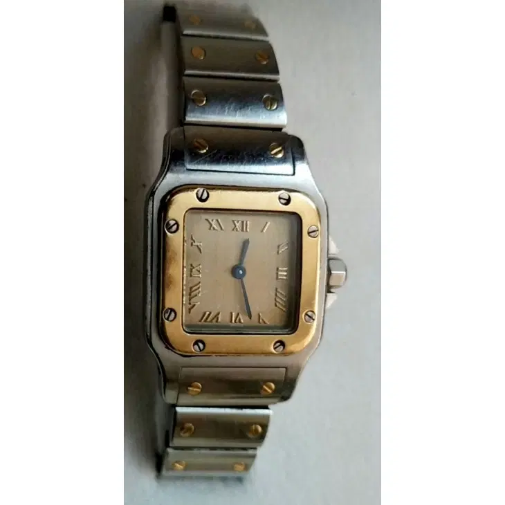 Cartier SANTOS DE CARTIER GALBÉE  W20012C4
