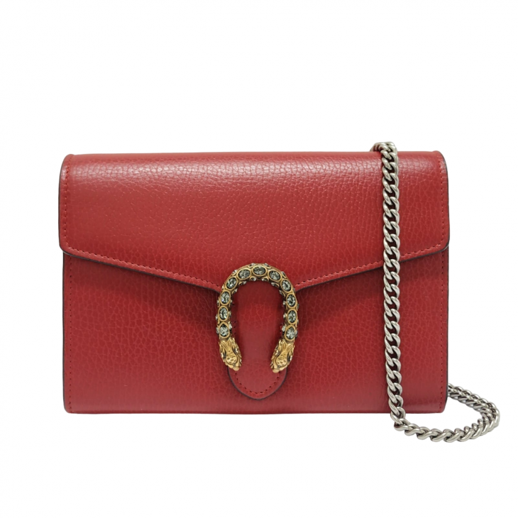 Gucci Dionysus bag | Chanel classic flap bag, Gucci bag dionysus, Gucci