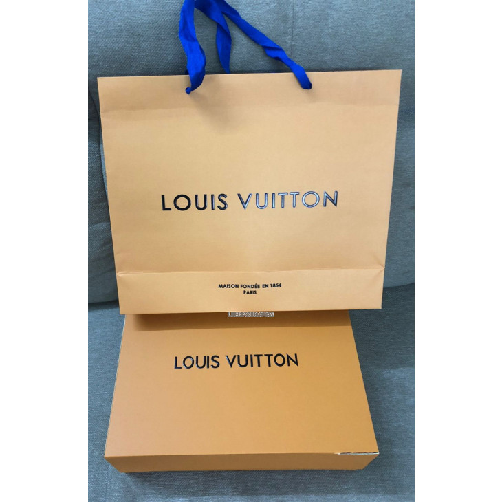Image result for louis vuitton paper shopping bag yellow