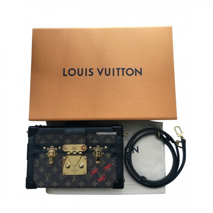 Louis Vuitton Petite Malle Capitale Monogram