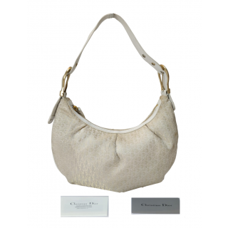 Dior Oblique Canvas and Leather Hobo Bag