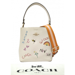 Coach Chalk Multi Diary Embroidery Small Town Leather Bucket Bag